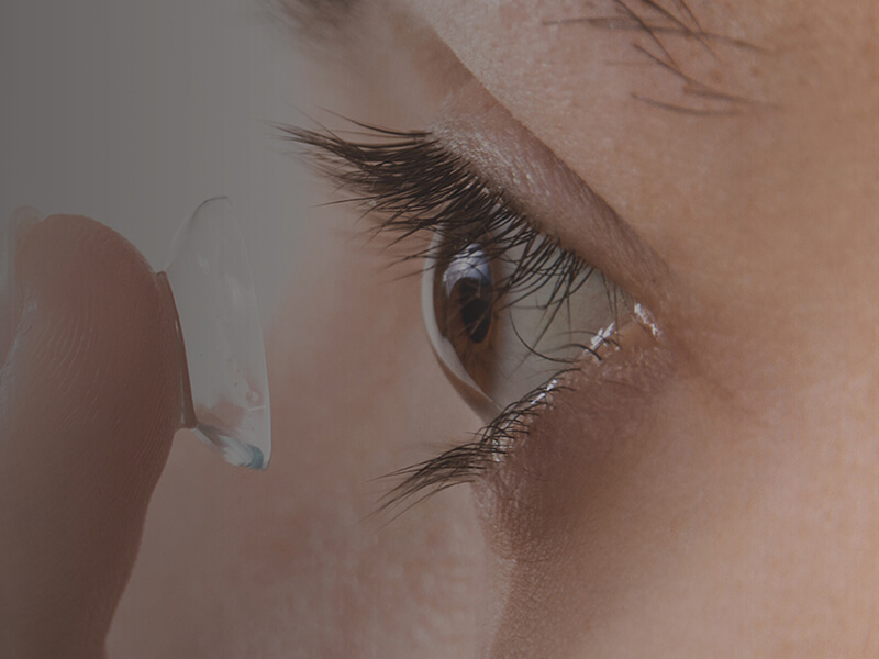 image-lentille Service lentilles